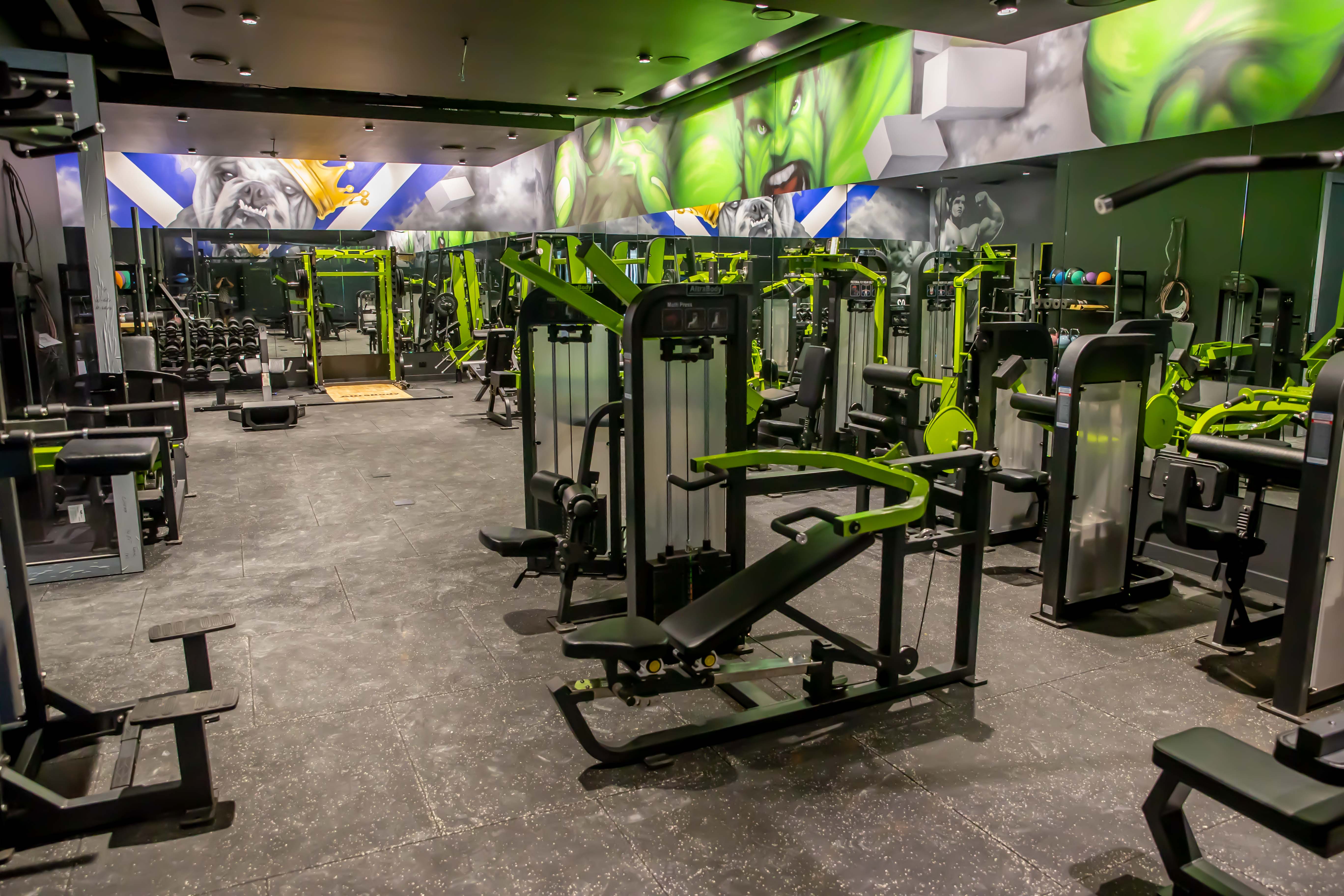 Elevate Your Fitness Business with Wholesale Gym Equipment | Premier ...
