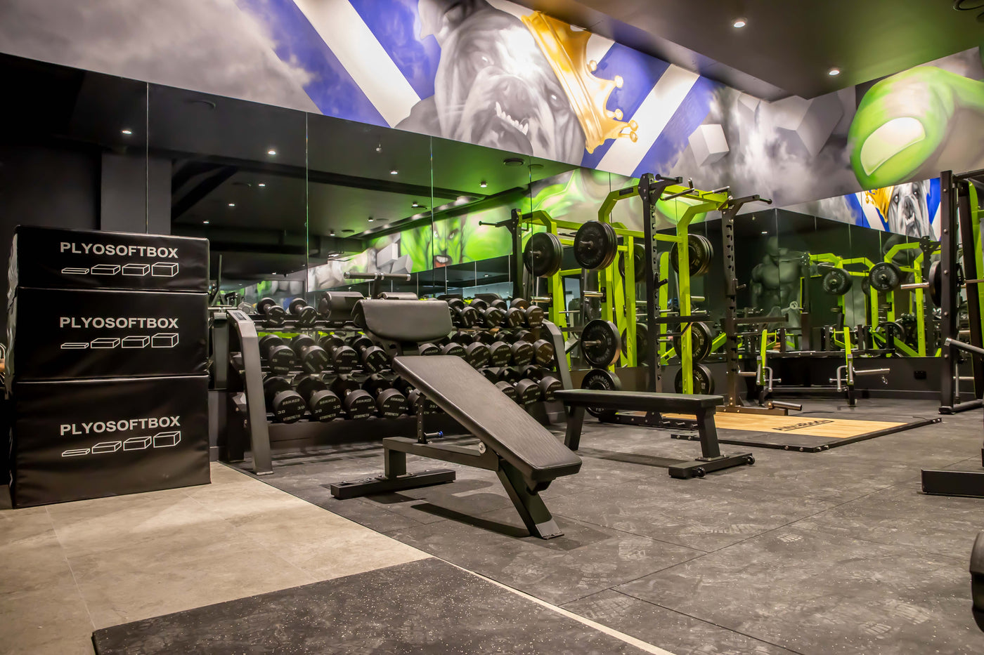 Commercial gym fit-out by Premier Fitness Supply