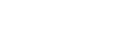 APH Holding
