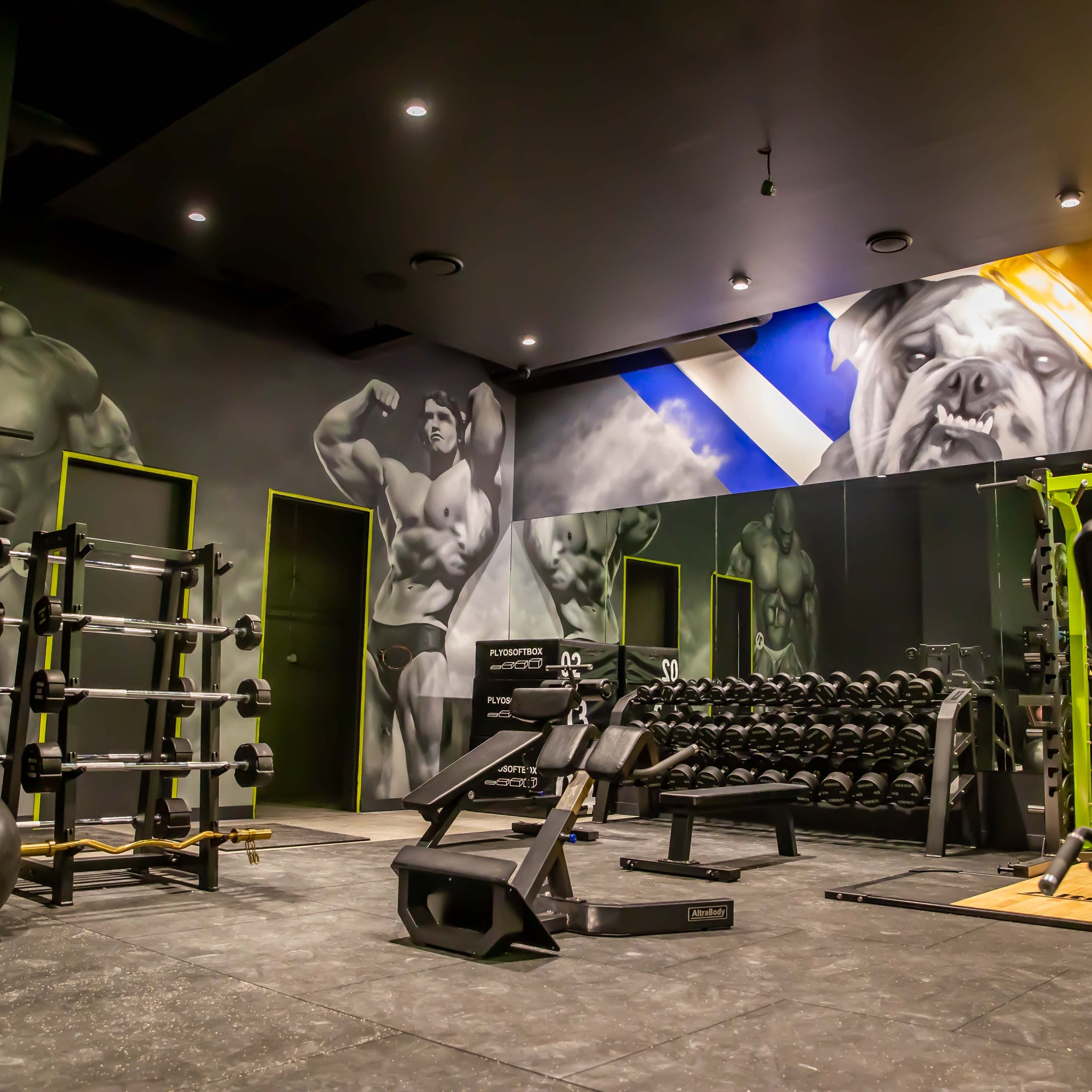 ELEVATE YOUR GYM EXPERIENCE WITH PROFESSIONAL COMMERCIAL GYM FITOUTS | Premier Fitness Supply