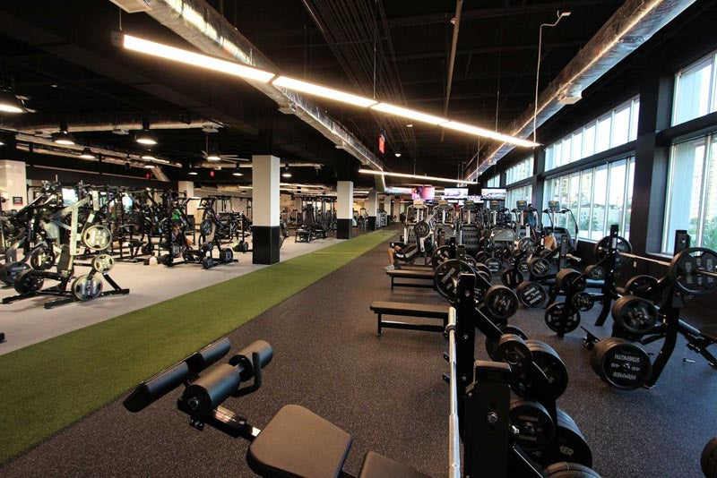 BUILDING THE PATH TO FITNESS: THE ART OF GYM CONSTRUCTION