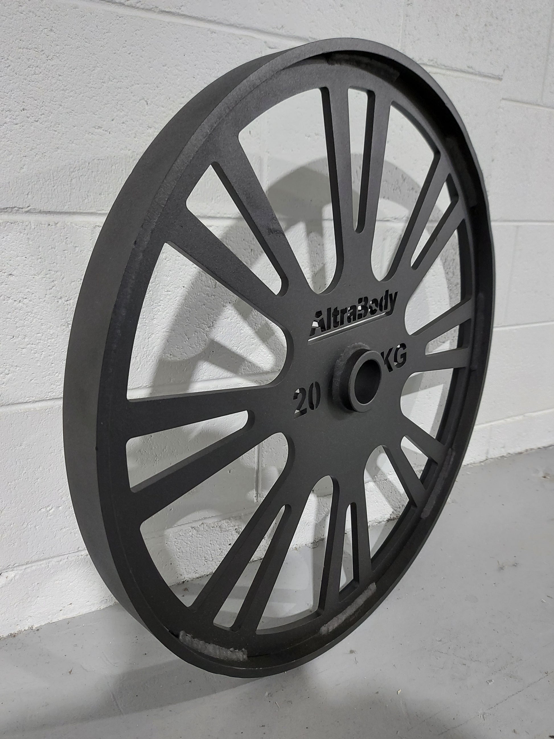 AltraBody-Wagon-Wheel-20kg-Pair-3