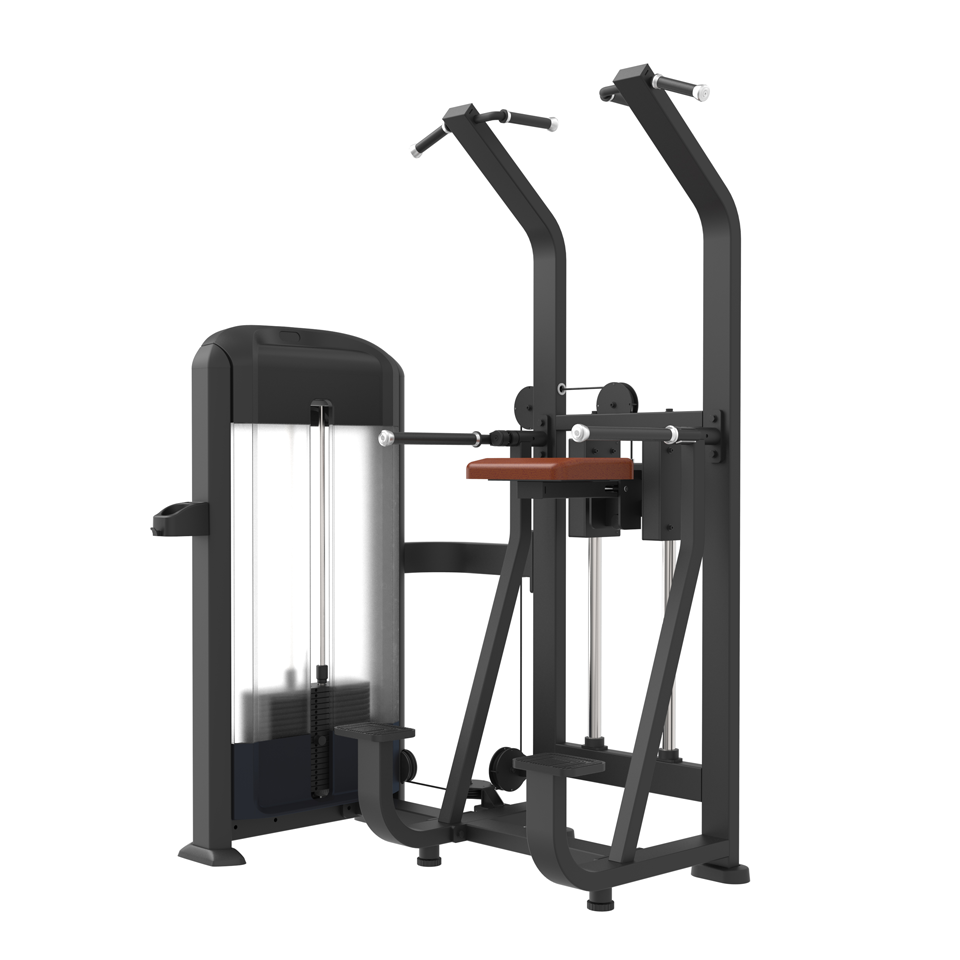 AltraBody-Elite™-Series---Pin-Loaded-Assisted-Pull-Up-and-Dip-Station
