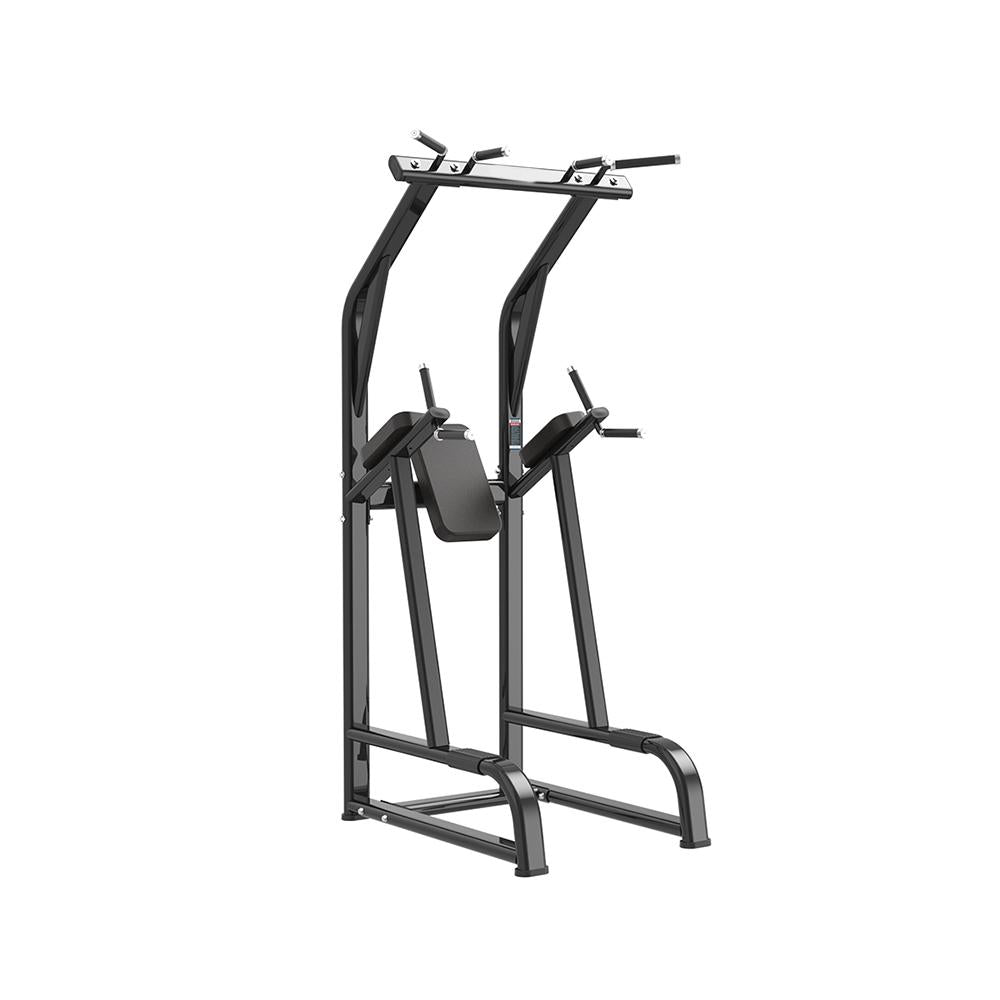 AltraBody-Triumph™-Series---Chin-Up-&-Dip-Station